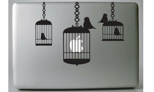 bird-cages