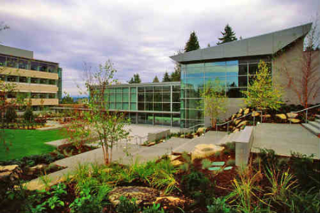 building_34_cafeteria_web1