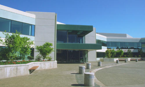 building_8_web-1