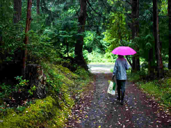 മഴയെ സ്നേഹിച്ച വിക്ടര്ജോര്ജ്