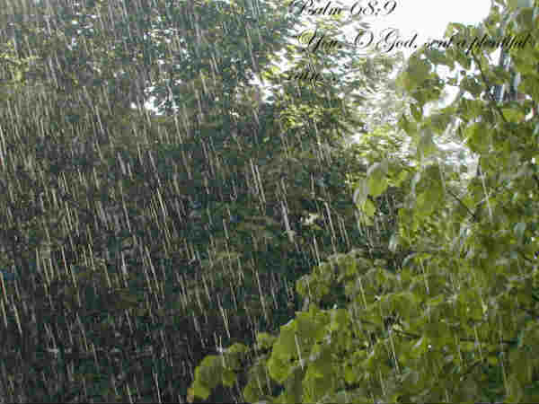 മഴയെ സ്നേഹിച്ച വിക്ടര്ജോര്ജ്