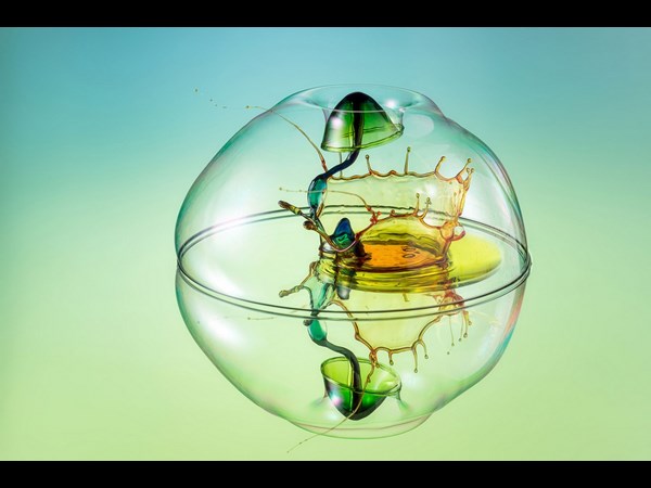 Sony World Photography Award 2013