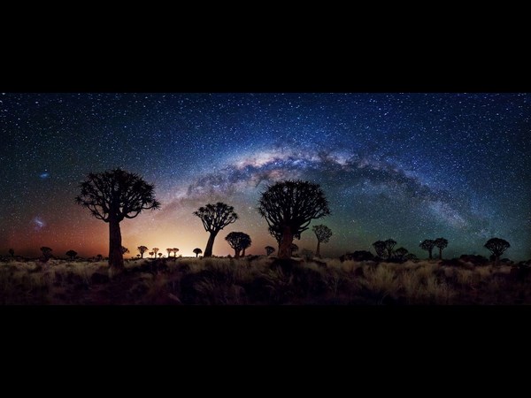 Sony World Photography Award 2013