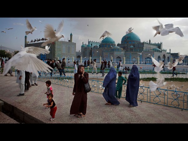 Sony World Photography Award 2013