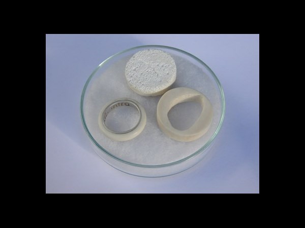 Bone Rings