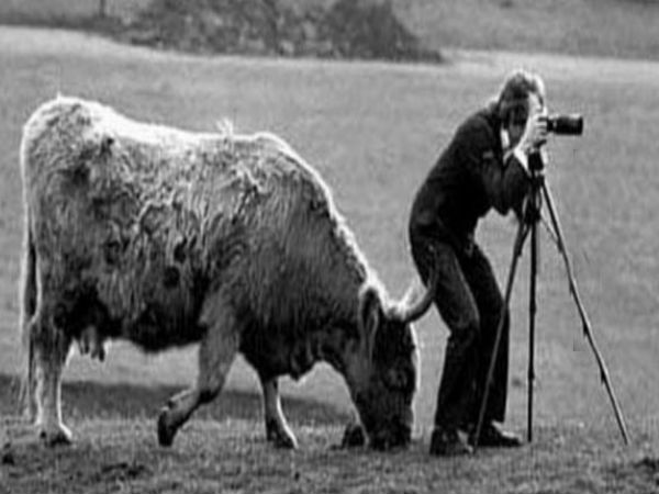 Behind The Camera