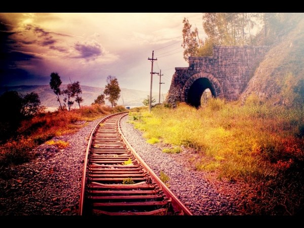 Sun set Nature Railroad