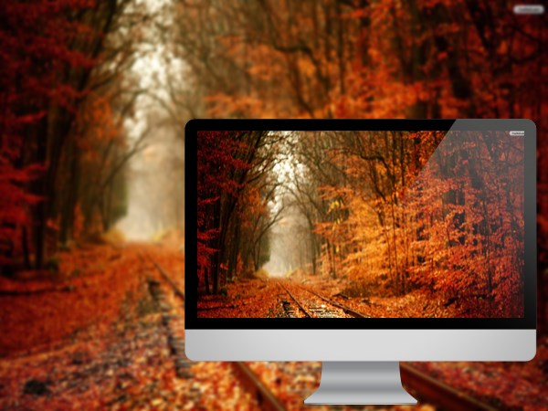 Autumn Railroad