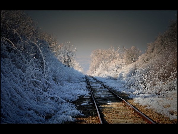 Morning Rail