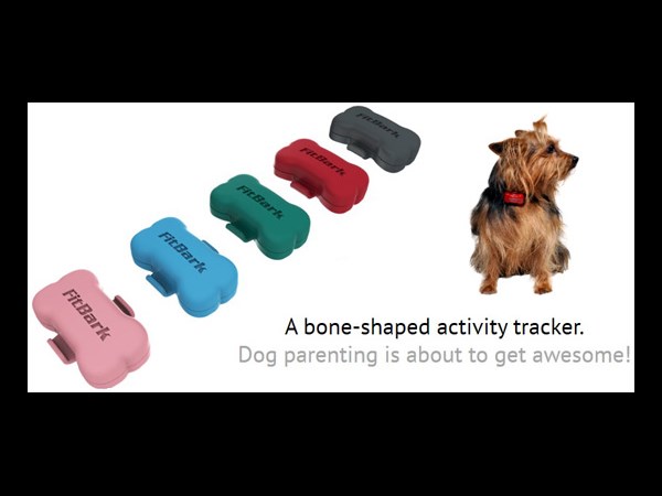 FitBark