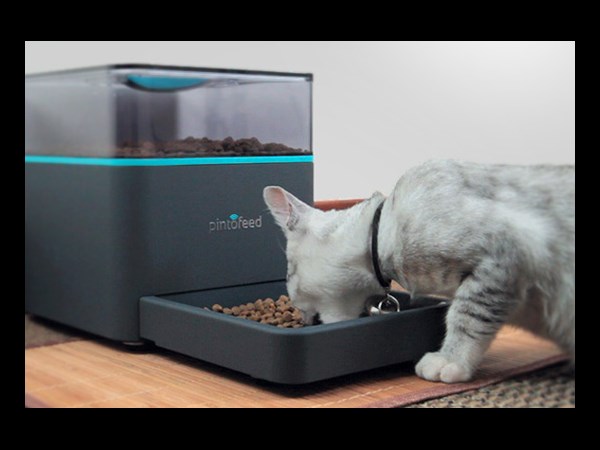 Pintofeed