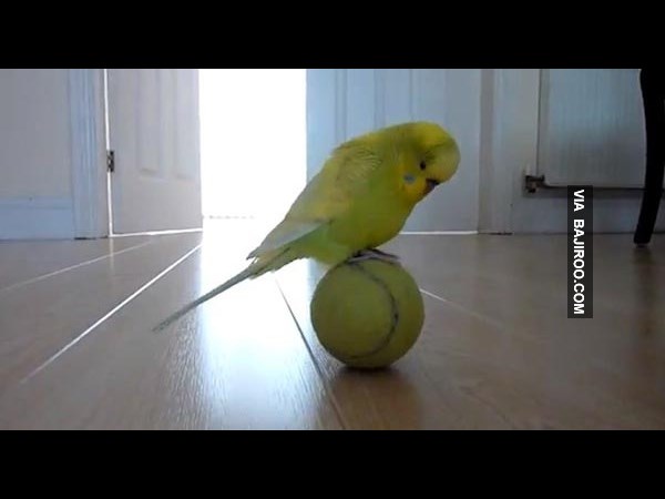 Amazing Photos