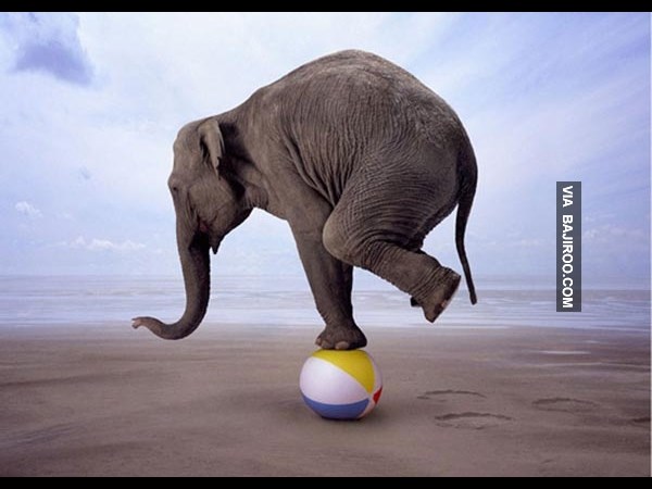 Amazing Photos