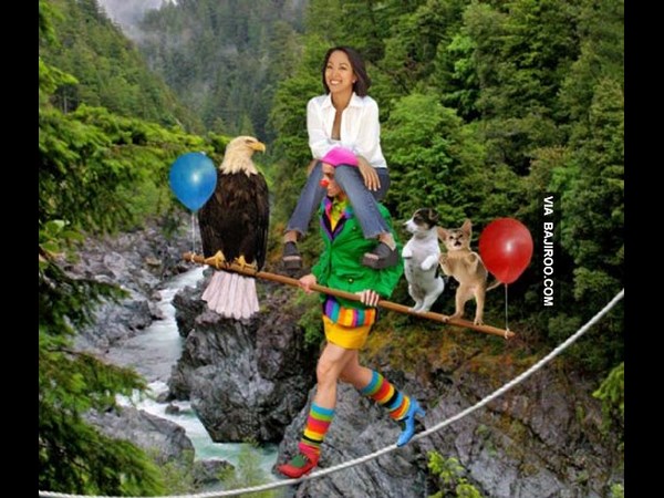 Amazing Photos