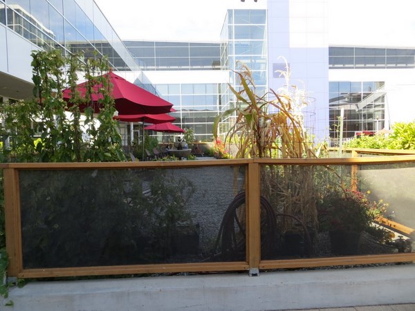 Googleplex