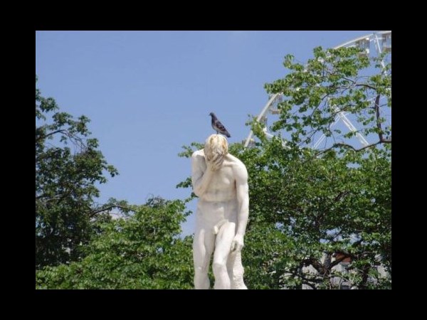 ടൈംമിംഗ്