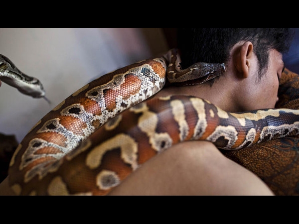 ഹൊ