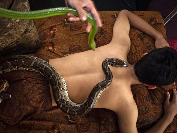 ഇനിയല്പം പാമ്പുകളെ കാണാം