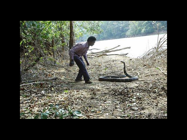 വാവ സുരേഷ്