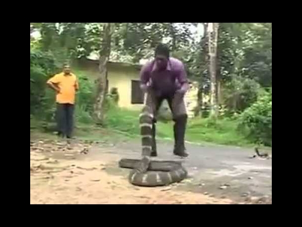 വാവ സുരേഷ്