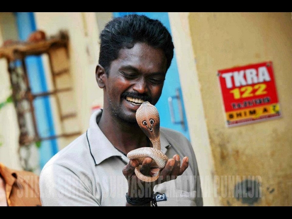വാവ സുരേഷ്