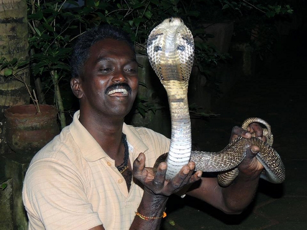 വാവ സുരേഷ്