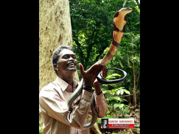 സുരേഷ്
