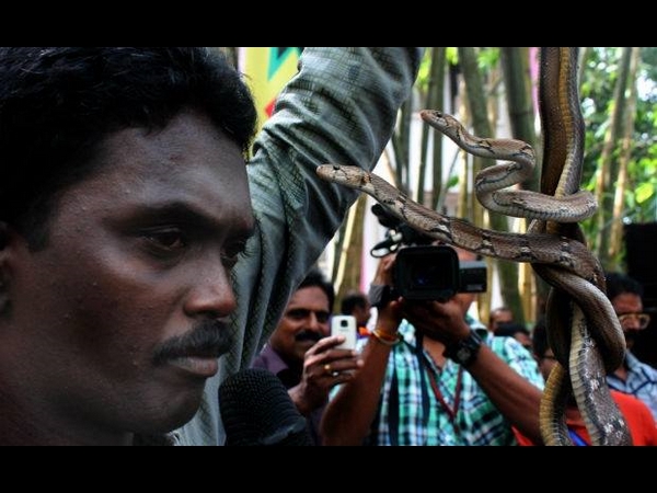 വാവ സുരേഷും പാമ്പുകളും