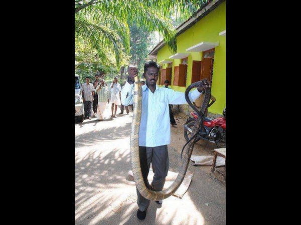 സുരേഷ്