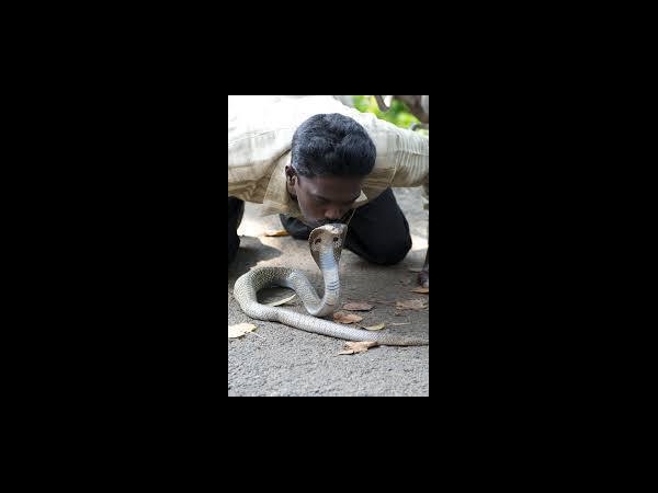 പാമ്പിനൊപ്പം