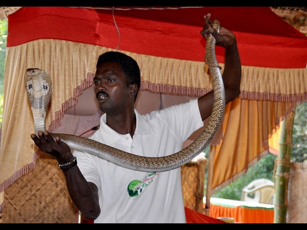 കൂട്ട് ദാരിദ്ര്യം
