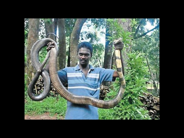 ശാസ്ത്രീയമായ രീതികള്