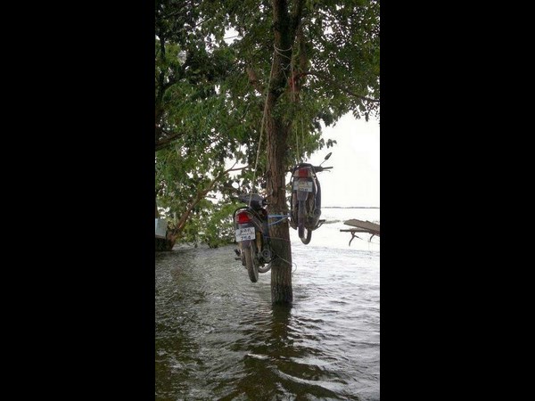 ജോഡി