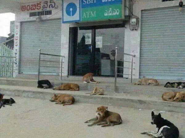 സുരക്ഷ
