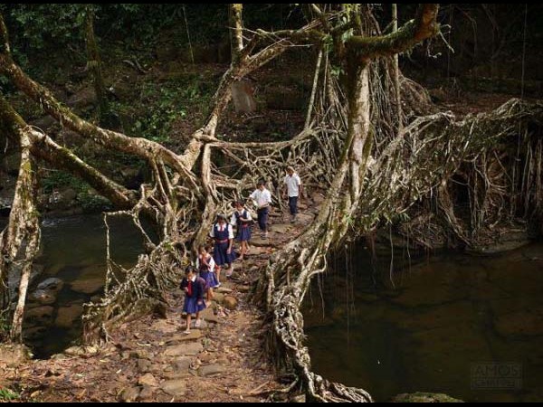 സൂപ്പര്
