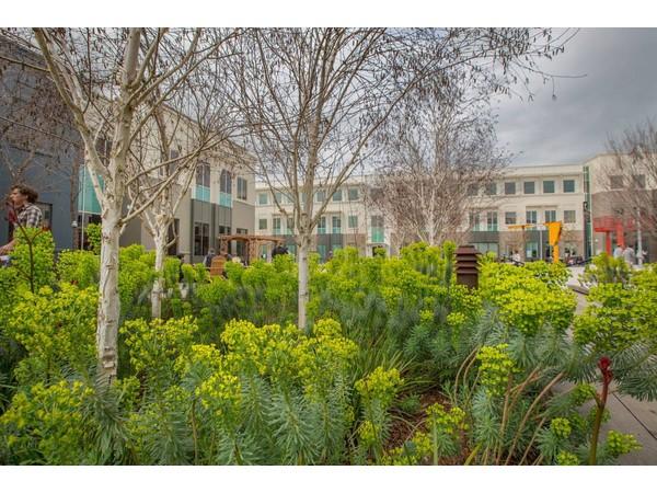 Facebook Menlo Park Headquarters Tour