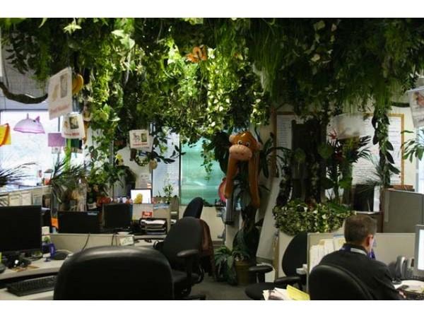 Zappos -- Las Vegsa