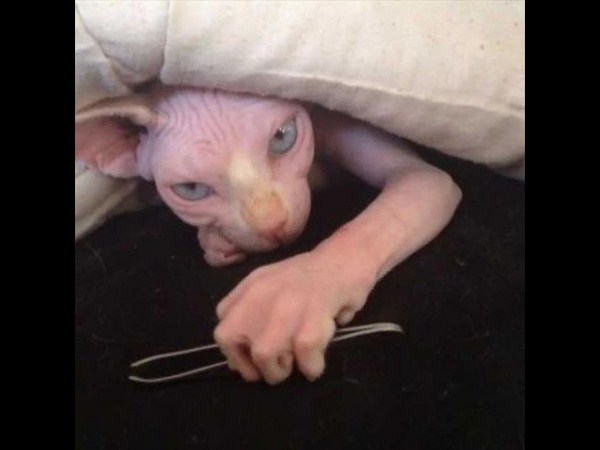 32