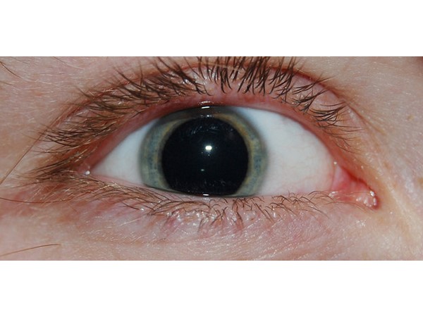 DrugWipe