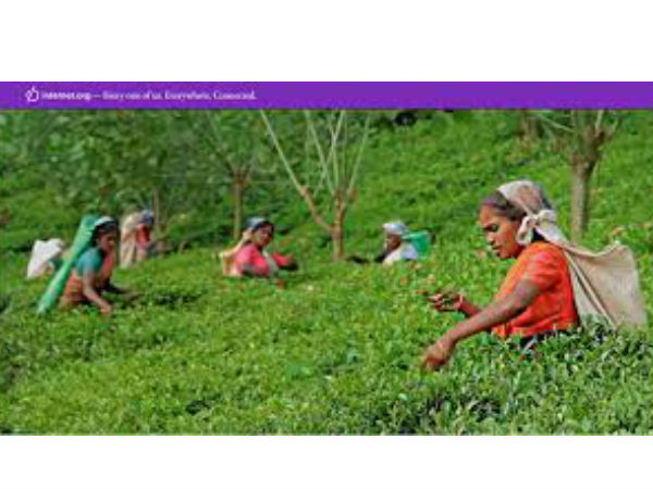 സൗജന്യ ഇന്റര്‍നെറ്റുമായി ഫേസ്ബുക്കിന്റെ internet.org ഇന്ത്യയിലും...!