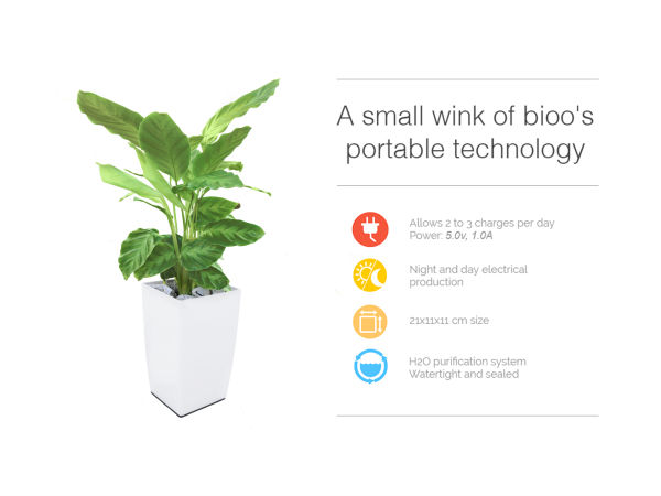 ബയോ ലൈറ്റ് എന്നെ ചെടി ഉപയോഗിച്ച് ഫോണ്‍ ചാര്‍ജ്ജ് ചെയ്യാം