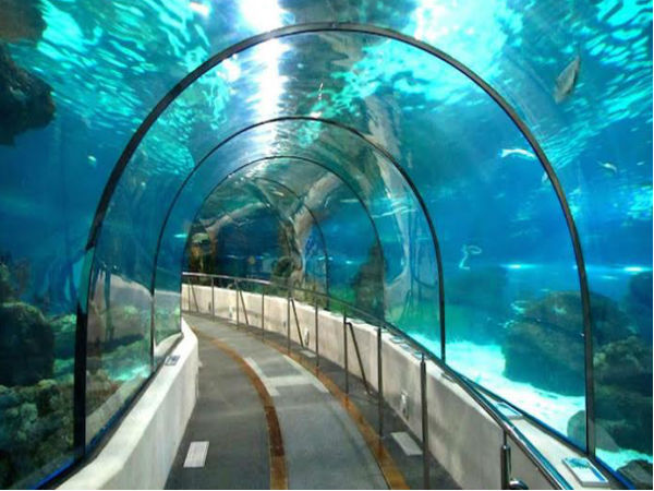 ഇന്ത്യയിലെ ആദ്യത്തെ ബുളളറ്റ് ട്രയിന്‍