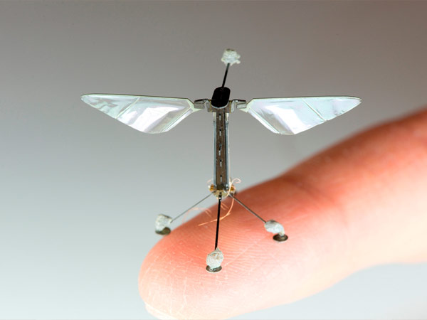 റോബോബീസ്- പറക്കുന്ന മൈക്രോറോബോട്ടുകള്‍