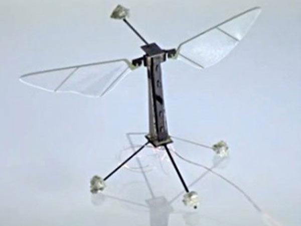 റോബോബീസ്- പറക്കുന്ന മൈക്രോറോബോട്ടുകള്‍