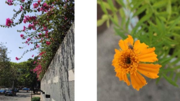 ബഡ്ജറ്റ് സ്മാർട്ഫോണിന്റെ പട്ടികയിൽ ഇനി ഷവോമി 'റെഡ്മി നോട്ട് 7' ബഡ്ജറ്റ് സ്മാർട്ഫോണിന്റെ പട്ടികയിൽ ഇനി ഷവോമി 'റെഡ്മി നോട്ട് 7'