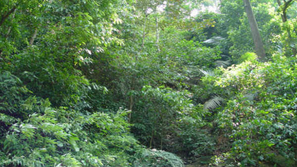 10 ദശലക്ഷം വ്യൂകൾ