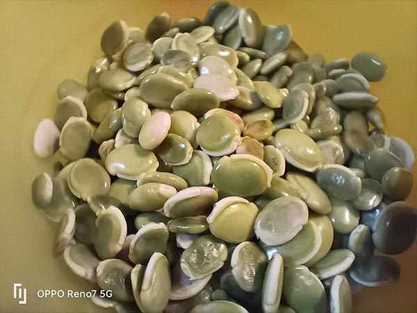 ഓപ്പോ റെനോ7 5ജി: വിലയും സവിശേഷതകളും ഒത്തുചേർന്ന സ്മാർട്ട്ഫോൺ