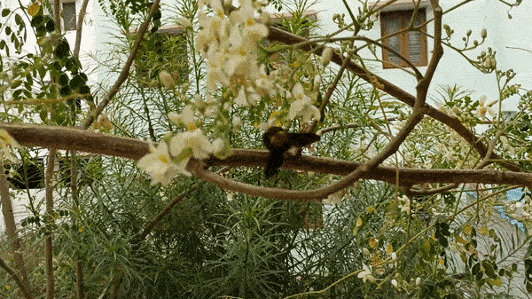 ഓപ്പോ റെനോ7 5ജി: വിലയും സവിശേഷതകളും ഒത്തുചേർന്ന സ്മാർട്ട്ഫോൺ