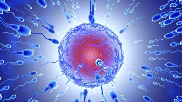 കോളജ് വിദ്യാർഥികളുടെ ബീജം വിലയ്ക്ക് വാങ്ങി ​ചൈനയിലെ ക്ലിനിക്കുകൾ