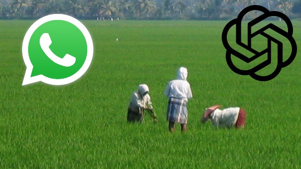 കർഷകർക്കായി ചാറ്റ് ജിപിടി അ‌ധിഷ്ഠിത വാട്സ്ആപ്പ് ചാറ്റ്ബോട്ട് 